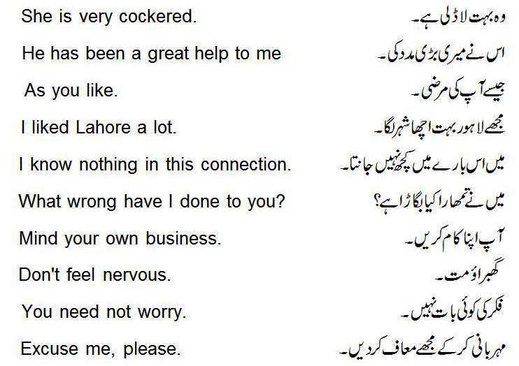 English translate to urdu