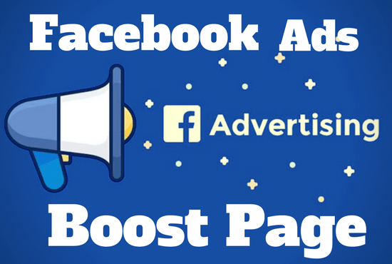 Set up facebook page ads paid campaign for your business by Sabshuvo1 |  Fiverr