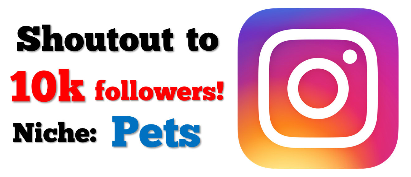 i will shoutout to 10k real followers for 24 hours - converting followers
