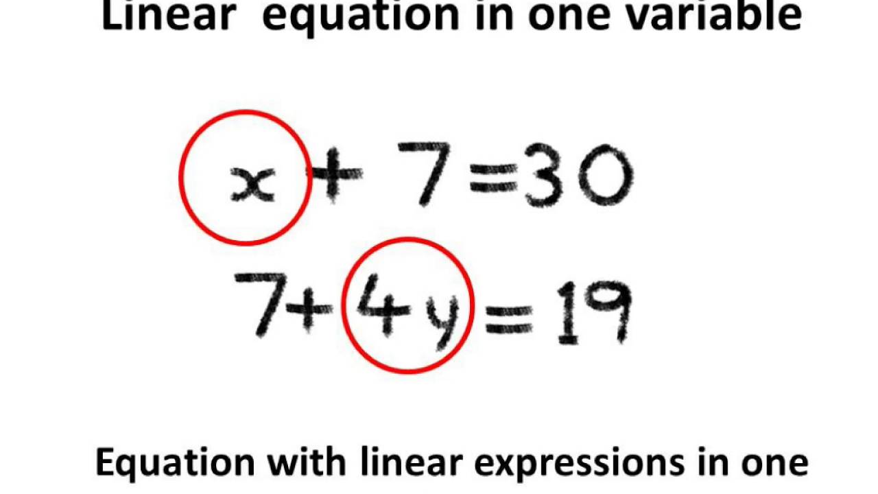 Solve Your Lineal Equation Problems By Bausini