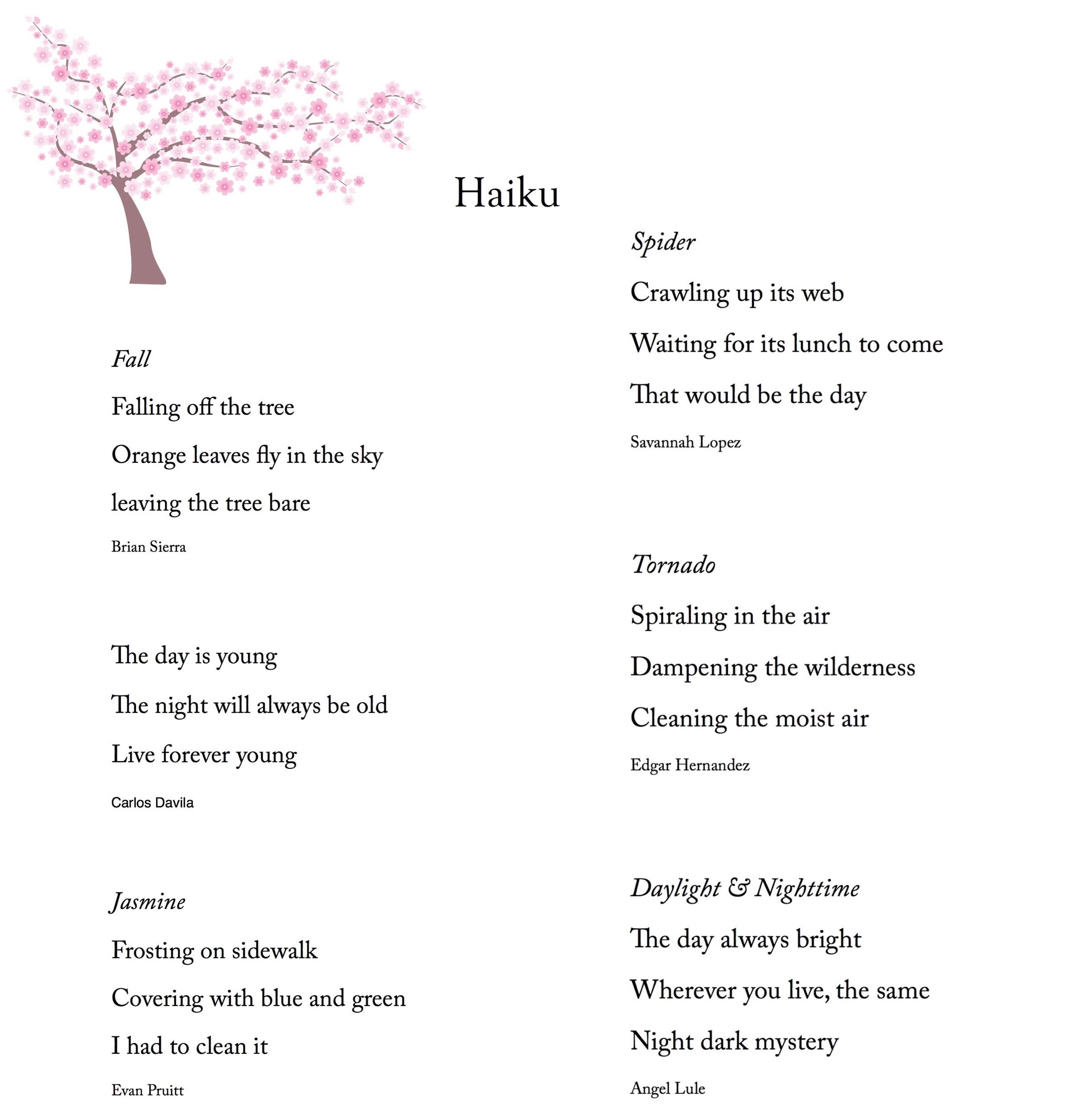 write you a haiku