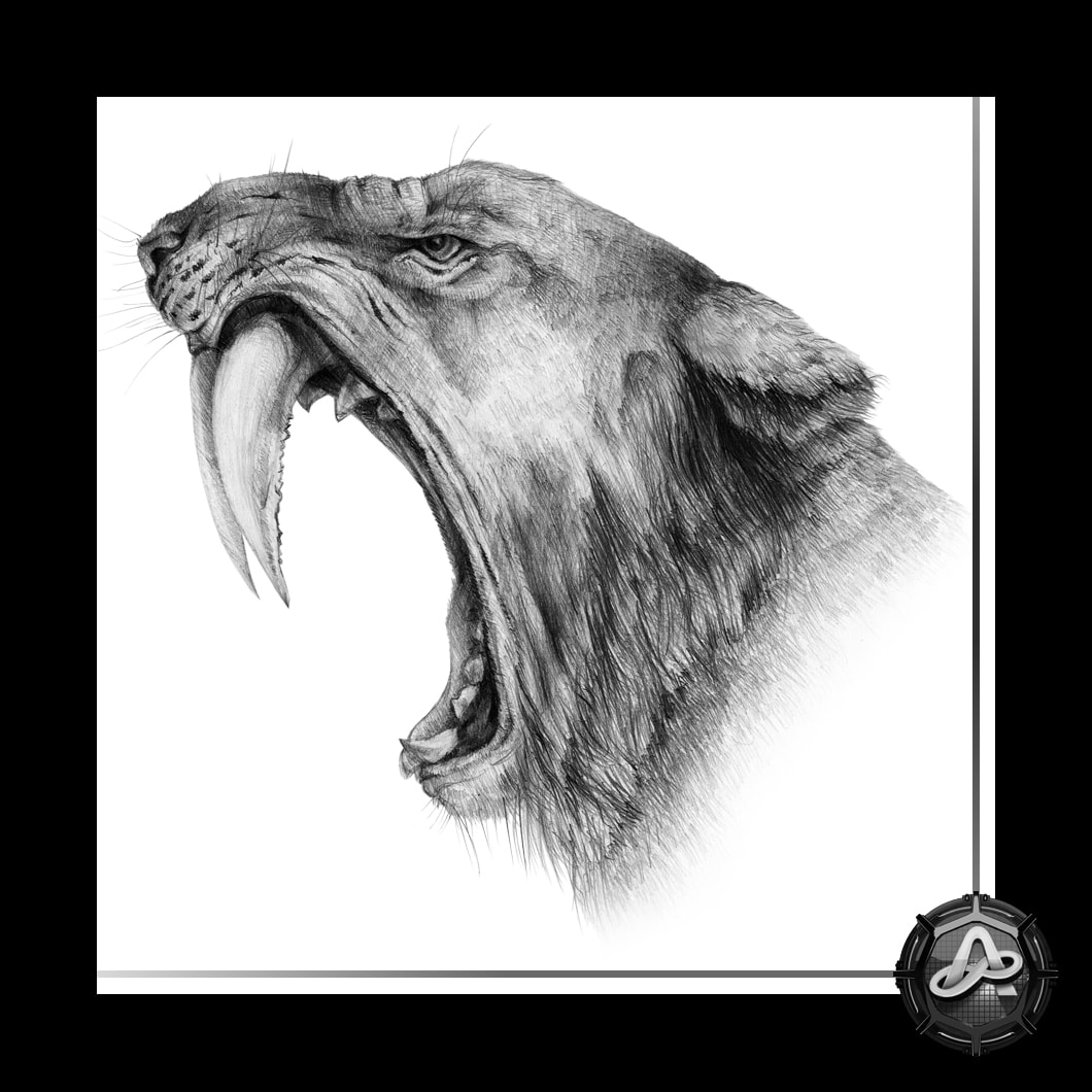 Do detailed pencil drawing of any animal or bird by Apexinfinityg | Fiverr Do detailed pencil drawing of any animal or bird by Apexinfinityg | Fiverr