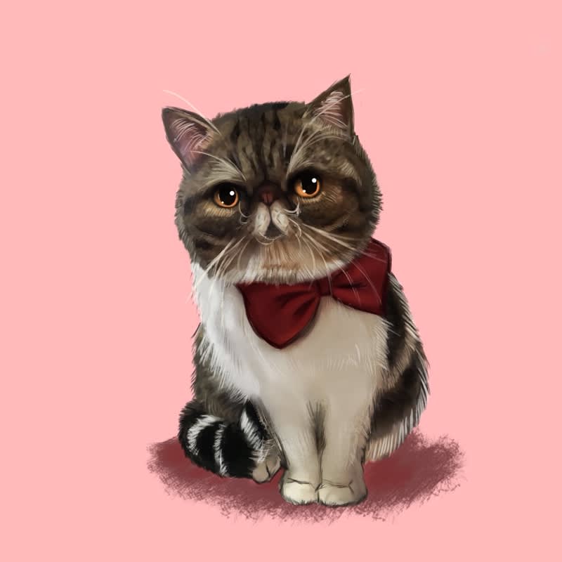 Draw Cute Realistic Pet Portrait By Jefferychen