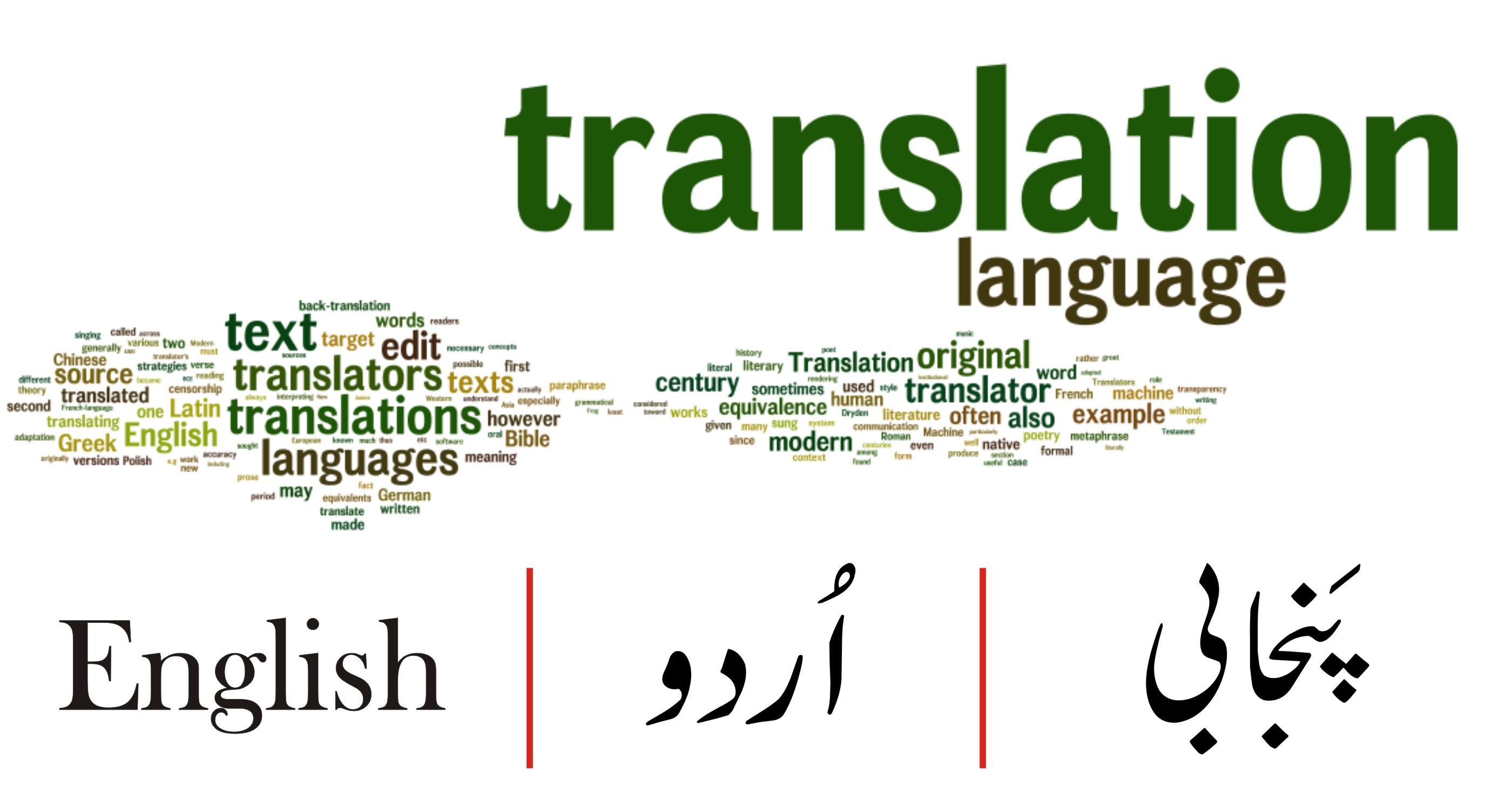 Translate English Into Urdu And Punjabi And Vice Versa