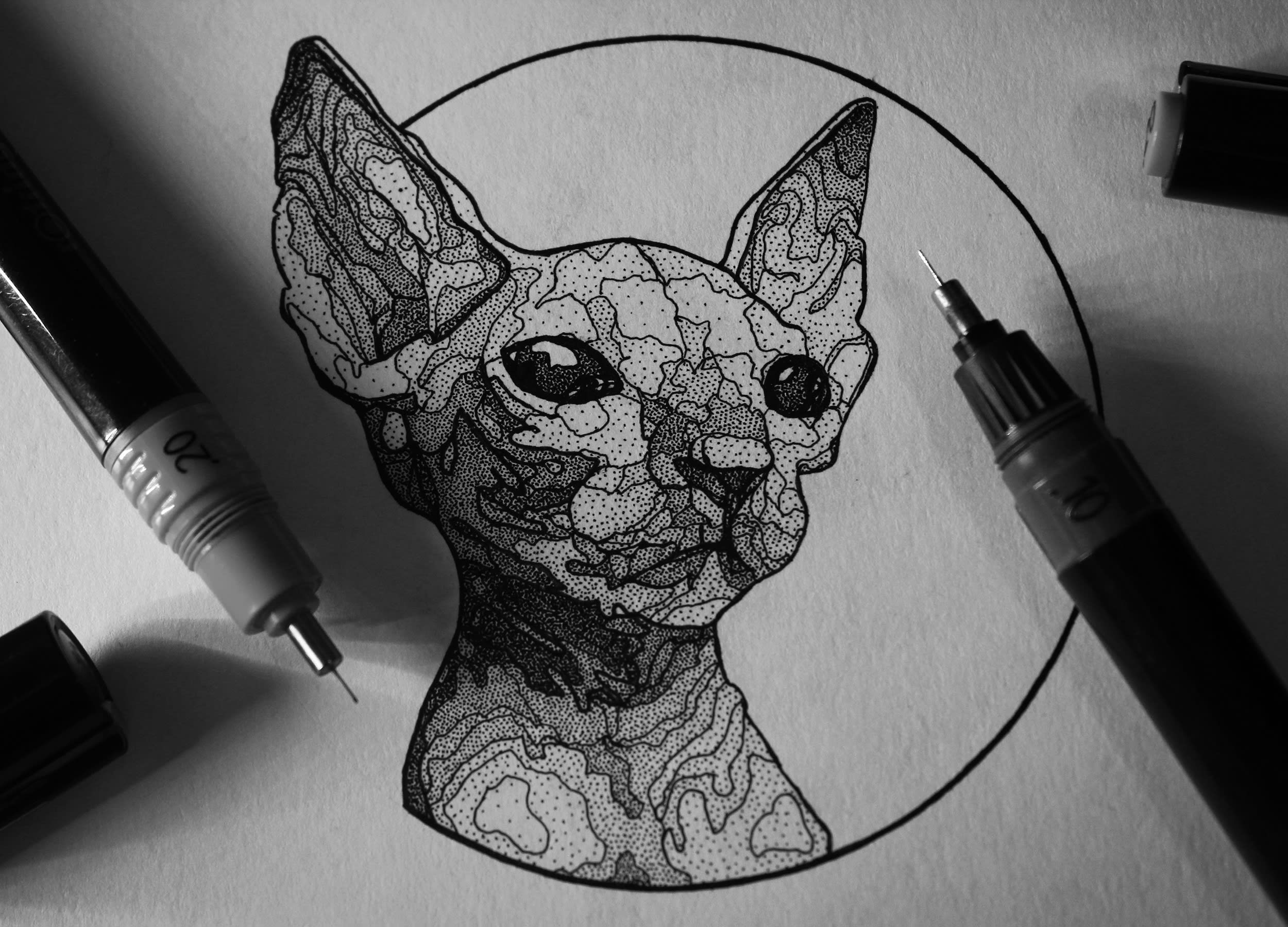 Draw Your Pet In An Amazing Style Dotwork By Yuriysmith