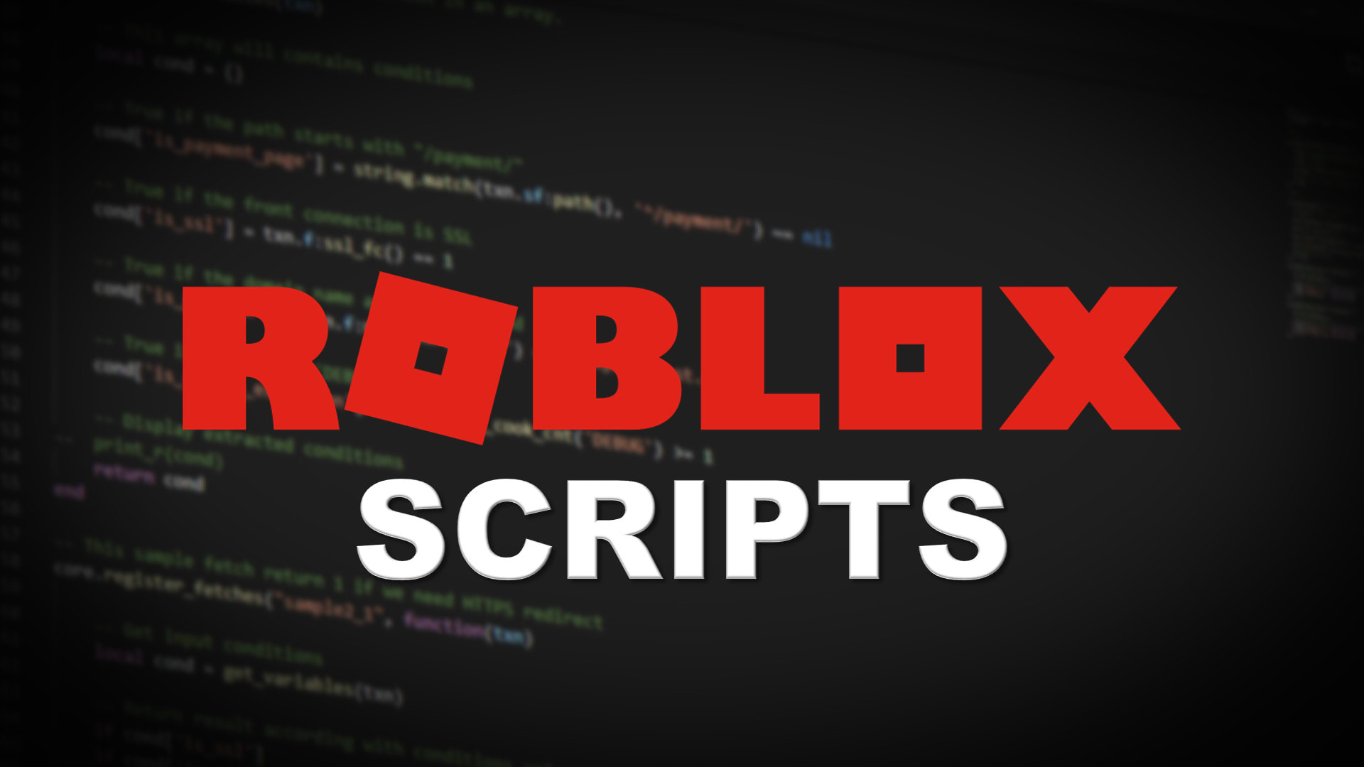Make A Roblox Script For You By Hlvm Rbx