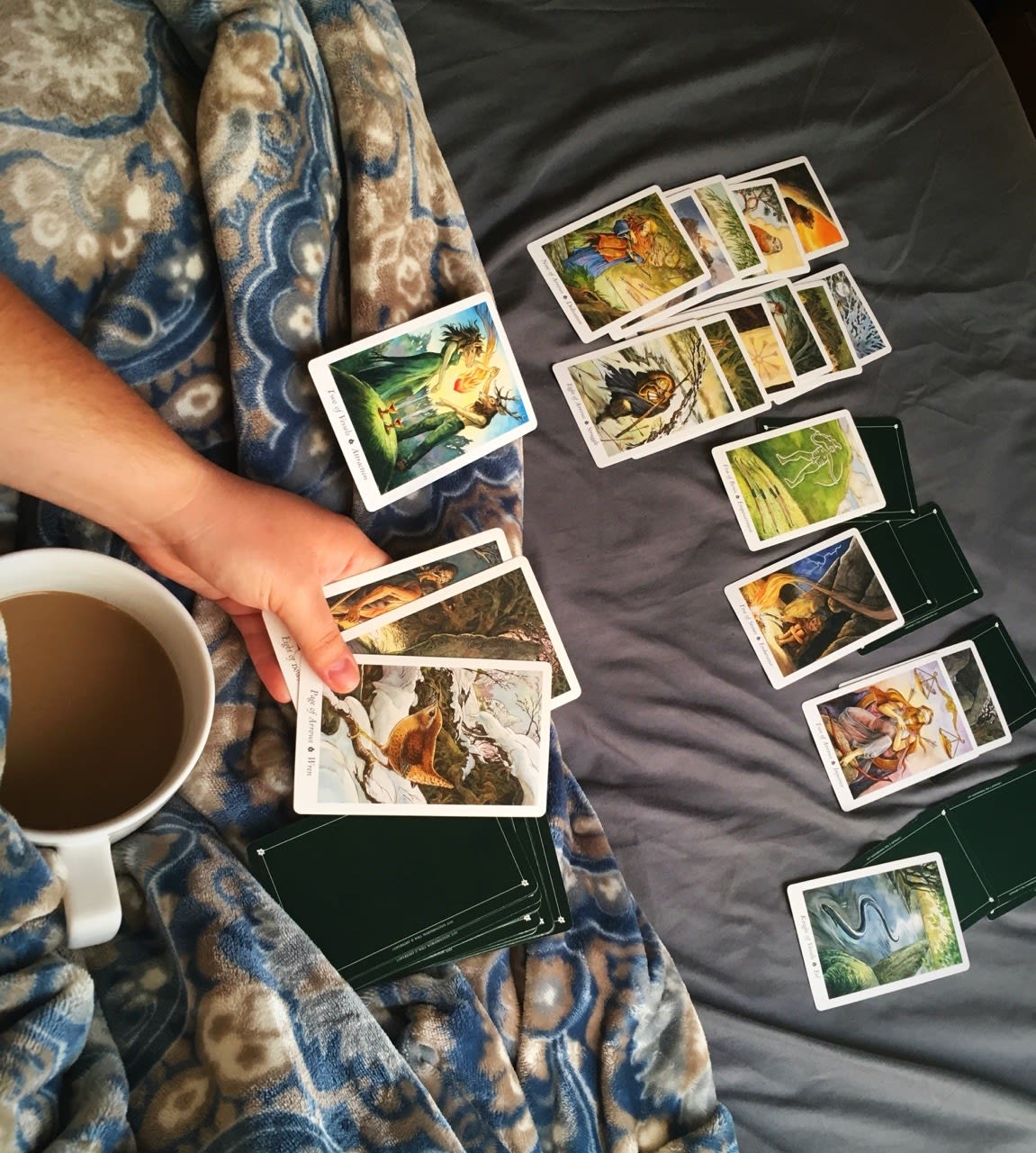 Give A Wildwood Tarot Reading With Your Direction By Susurrus23 Fiverr