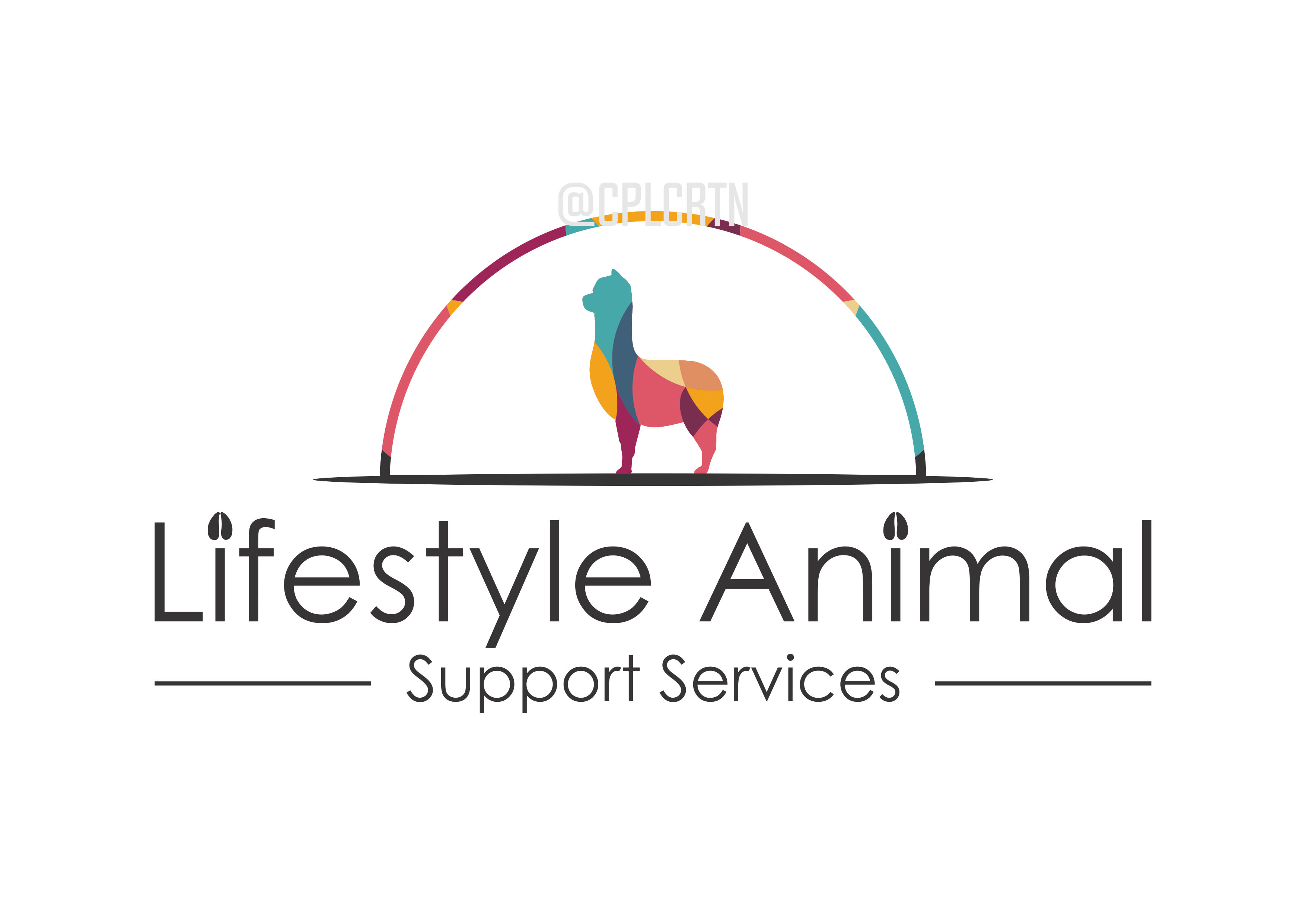 Design geometric playful animal logo by Cplcrtn | Fiverr