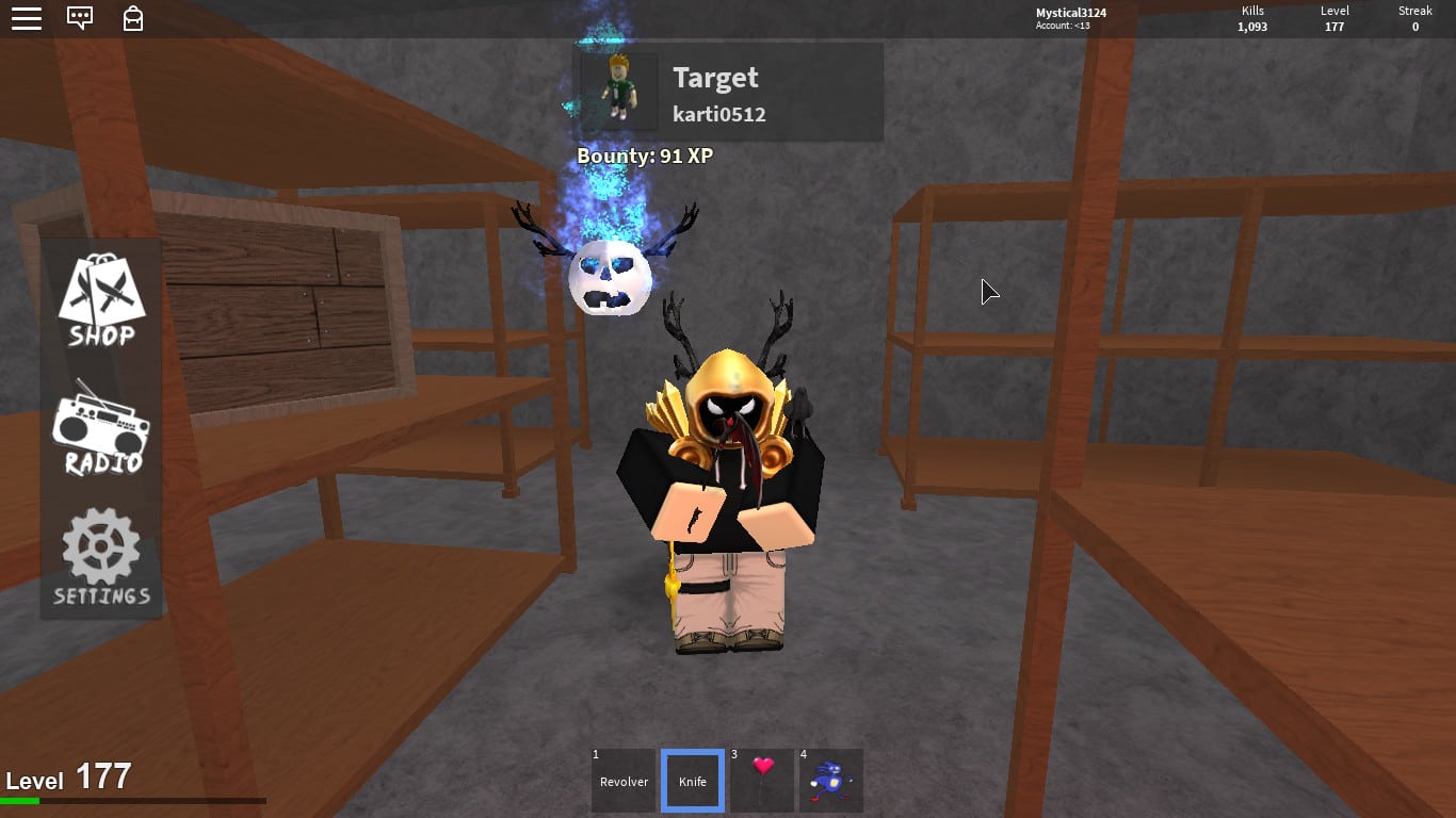 Play Any Games On Roblox With You For 30 Minutes By Rubyrose789