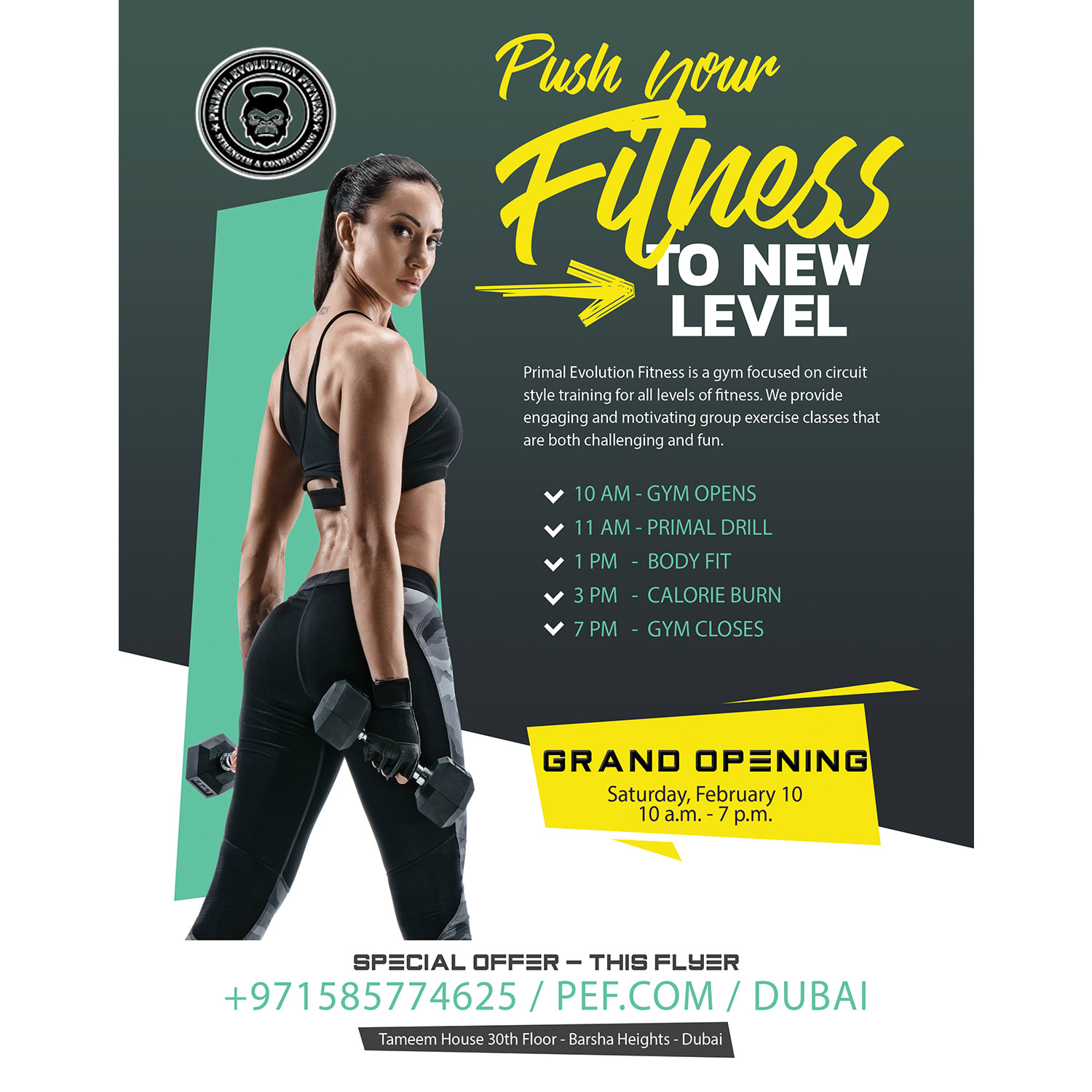 Design A Professional Fitness Flyer By Baberali5566