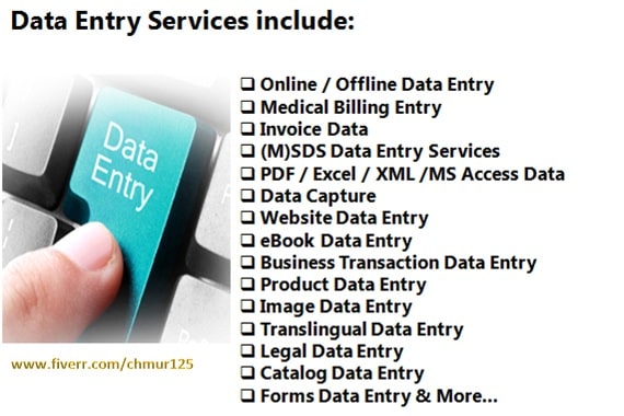 Do online and offline data entry jobs for your business by Chmur125 Fiverr