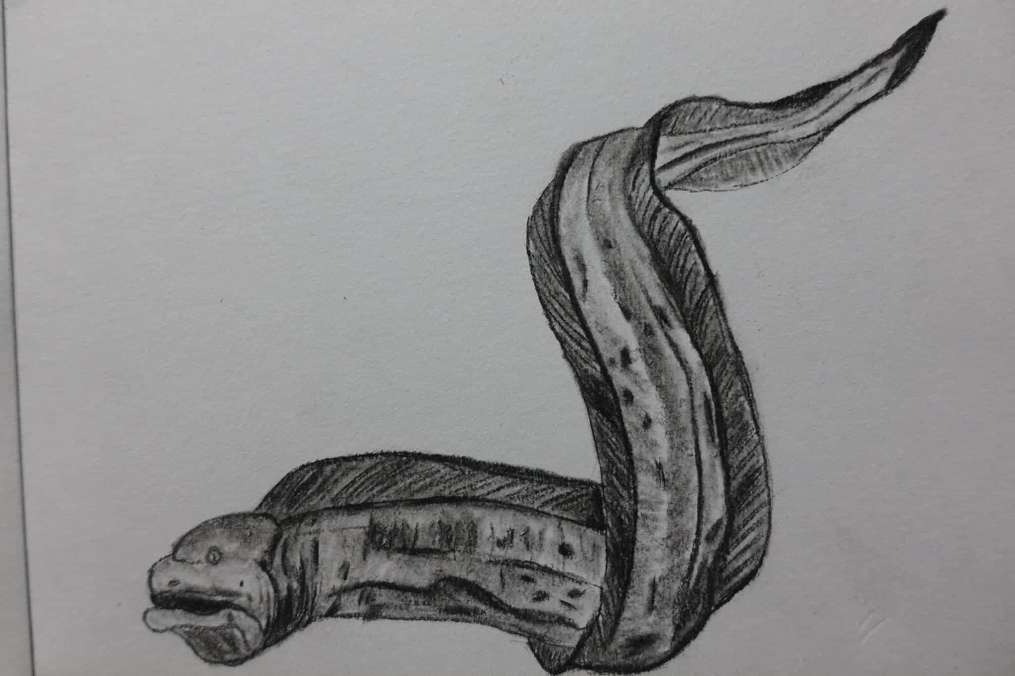 Do Some Art Such As Charcoal Drawing And Watercolor Painting By