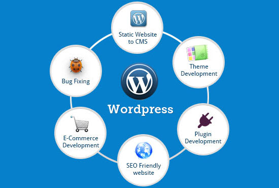 Be your wordpress developer by Tahiryasin1 | Fiverr