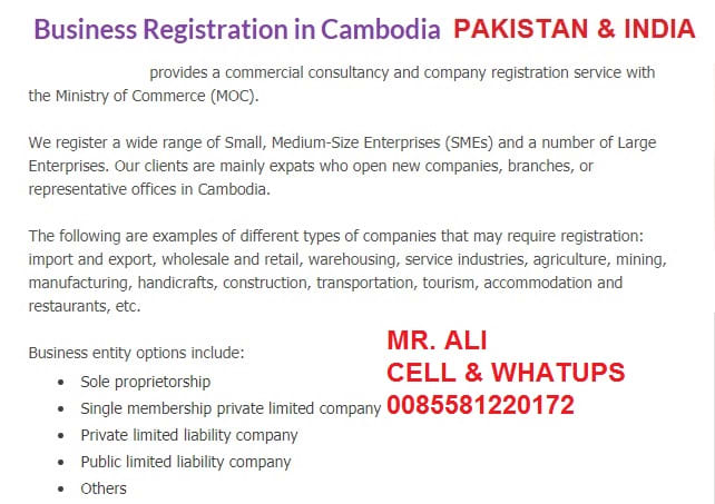 Number of companies in Cambodia by size and official registration