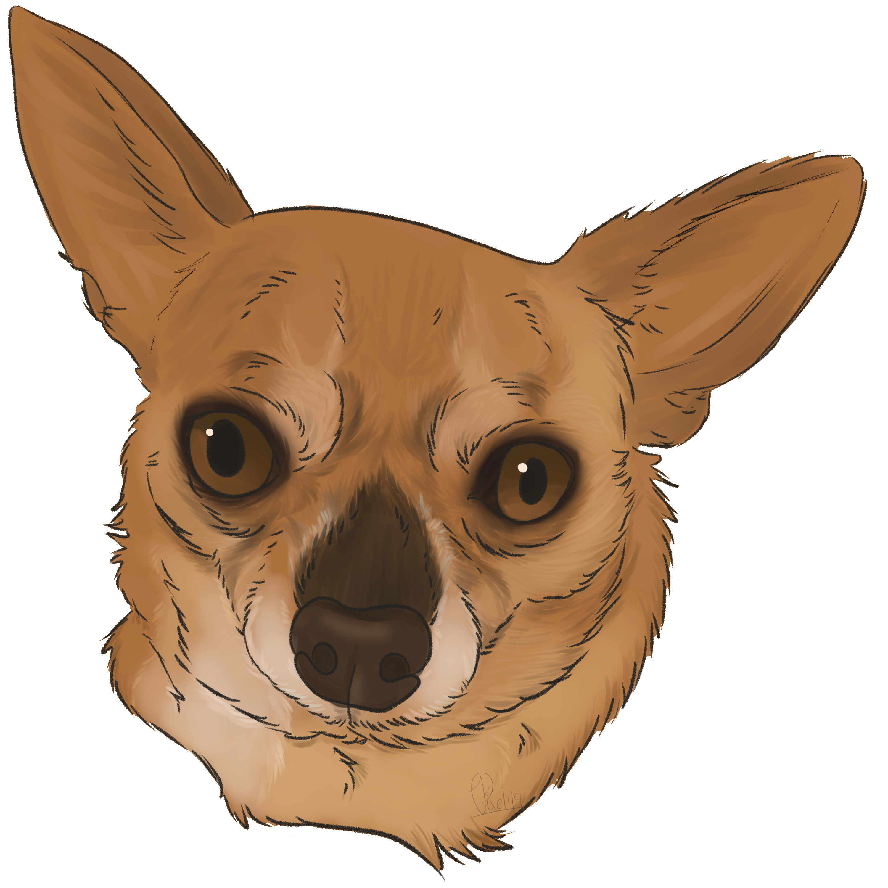 Draw Your Pet In A Semi Realistic Style By Pbunnystudio Fiverr