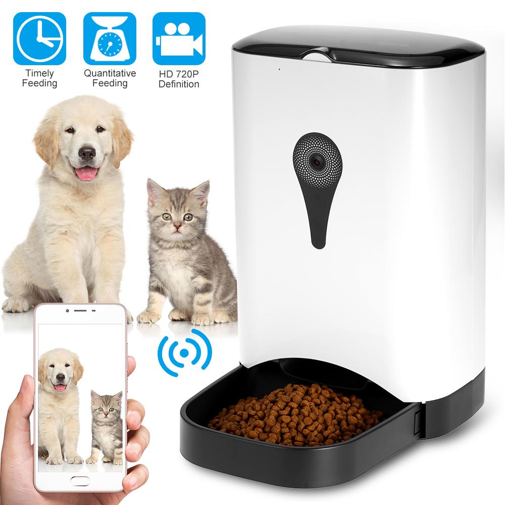 Iot cat clearance feeder