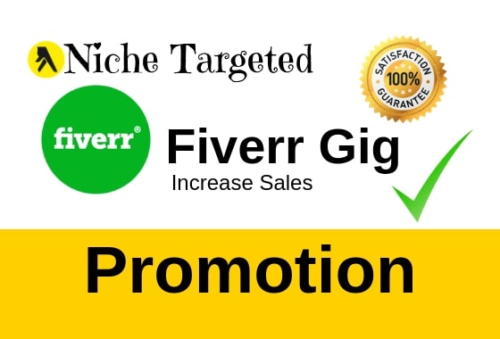 niche targeted fiverr gig promotion