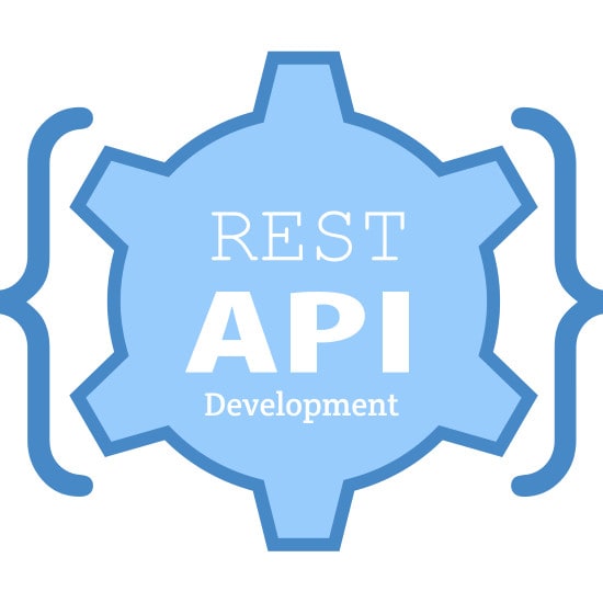 Web Api Icon