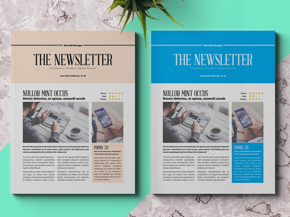 Create A Professional Newsletter Design Templates By Salespro3 Fiverr