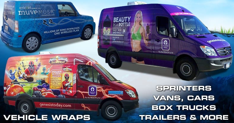 professional looking vans