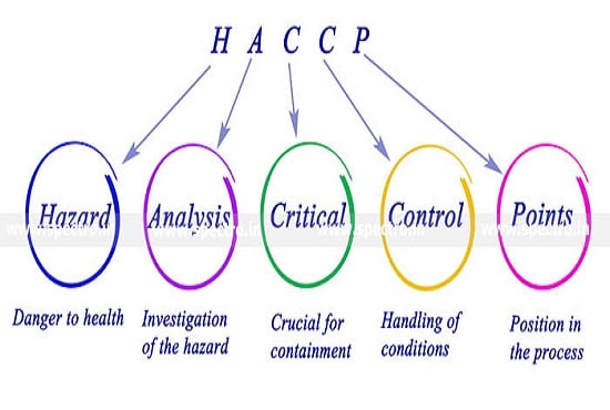 Help You For Haccp Food Safety Gmp Iso 22000fsms Brc Fssc By Gg4uralsolution Fiverr