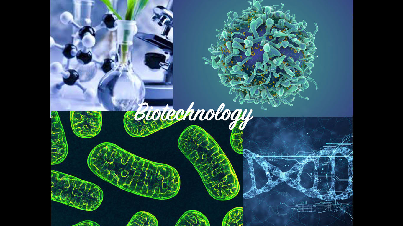 Articles on topics related to biotechnology by Ananyadg | Fiverr