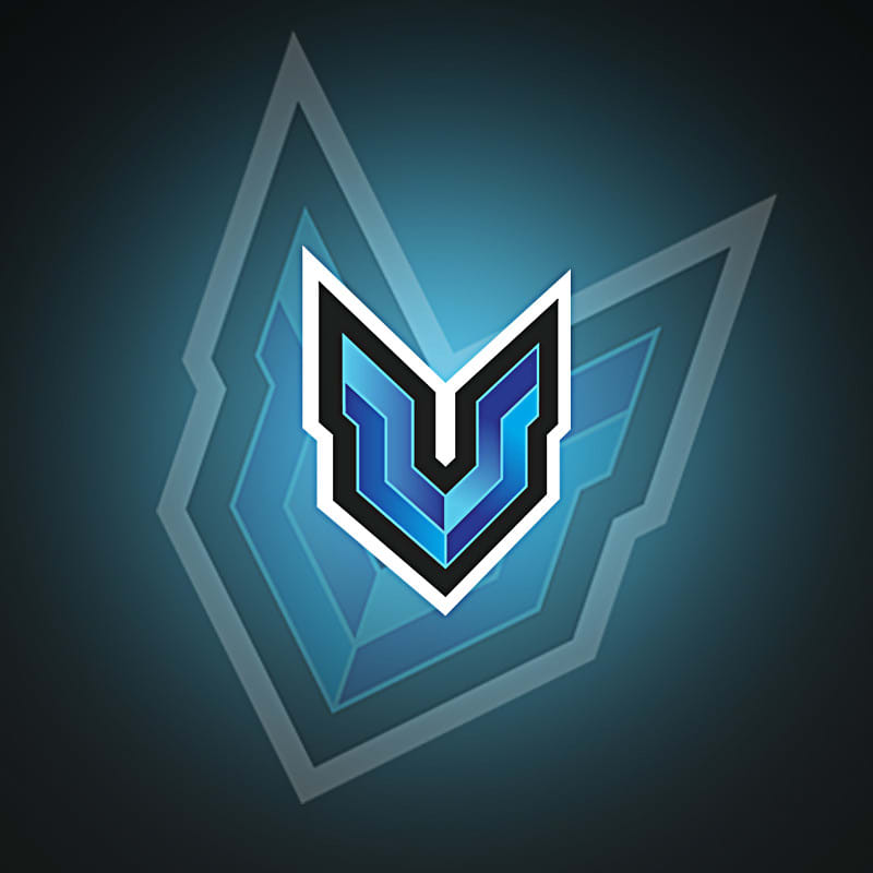 custom esports ltd