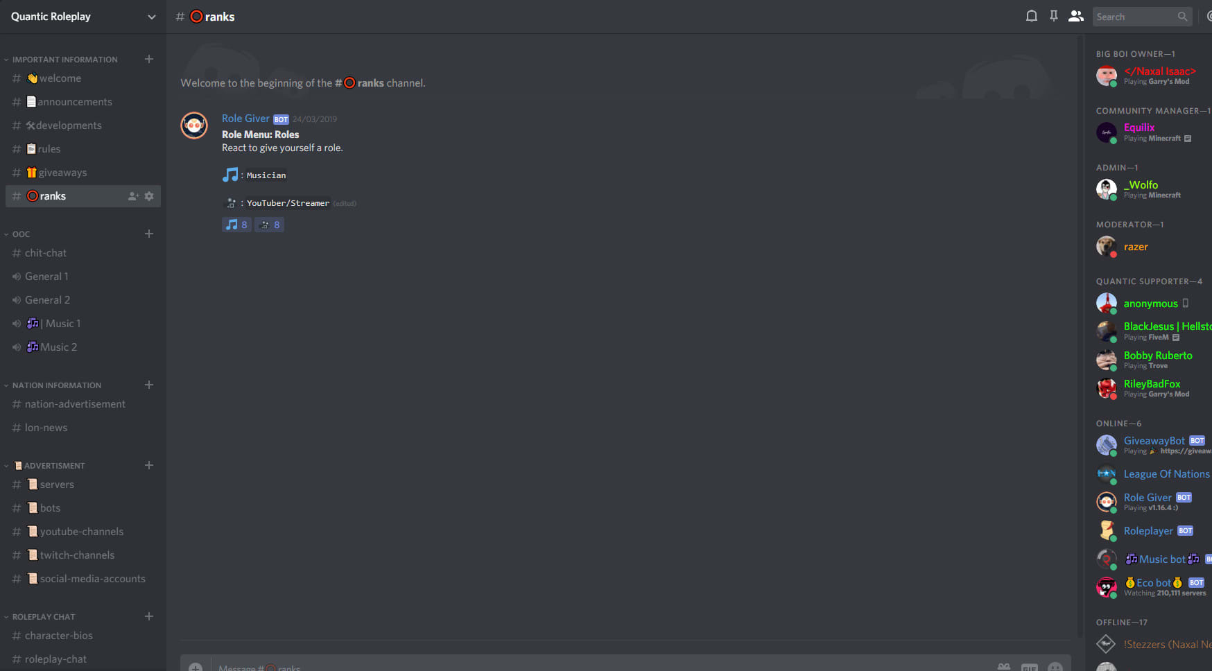 Work hard to create a professional looking discord server by Forest__inc