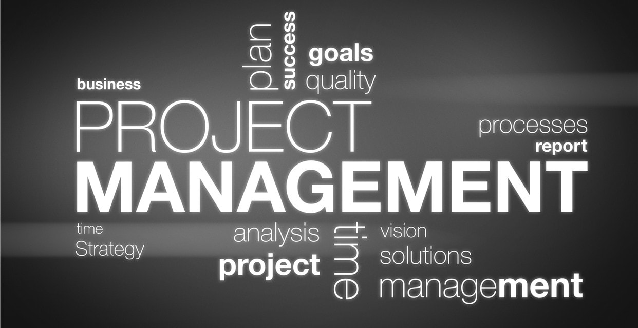 Project Management and Scrum Master