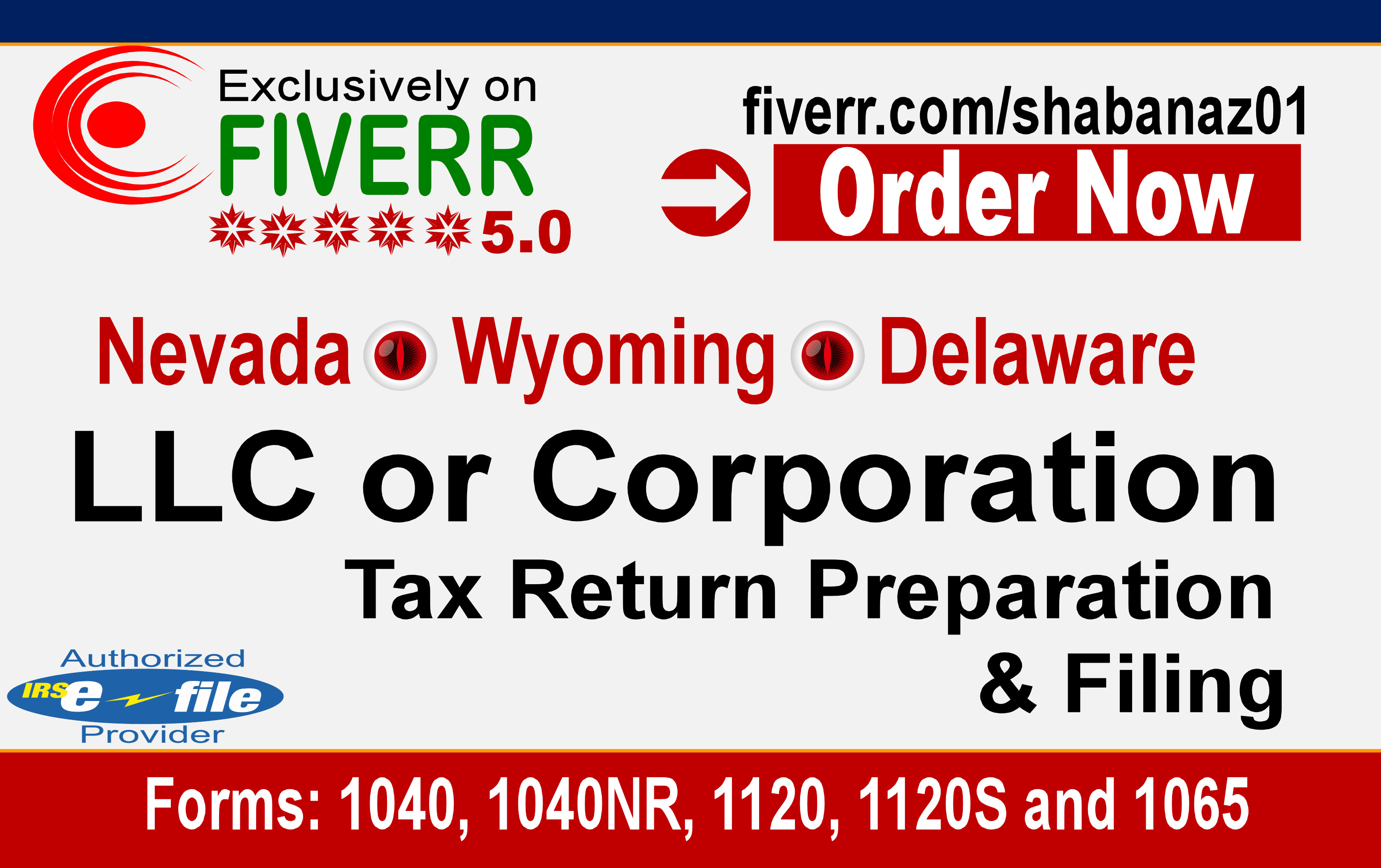 Prepare Tax Return For Delaware Wyoming Nevada Llc By Shabanaz01