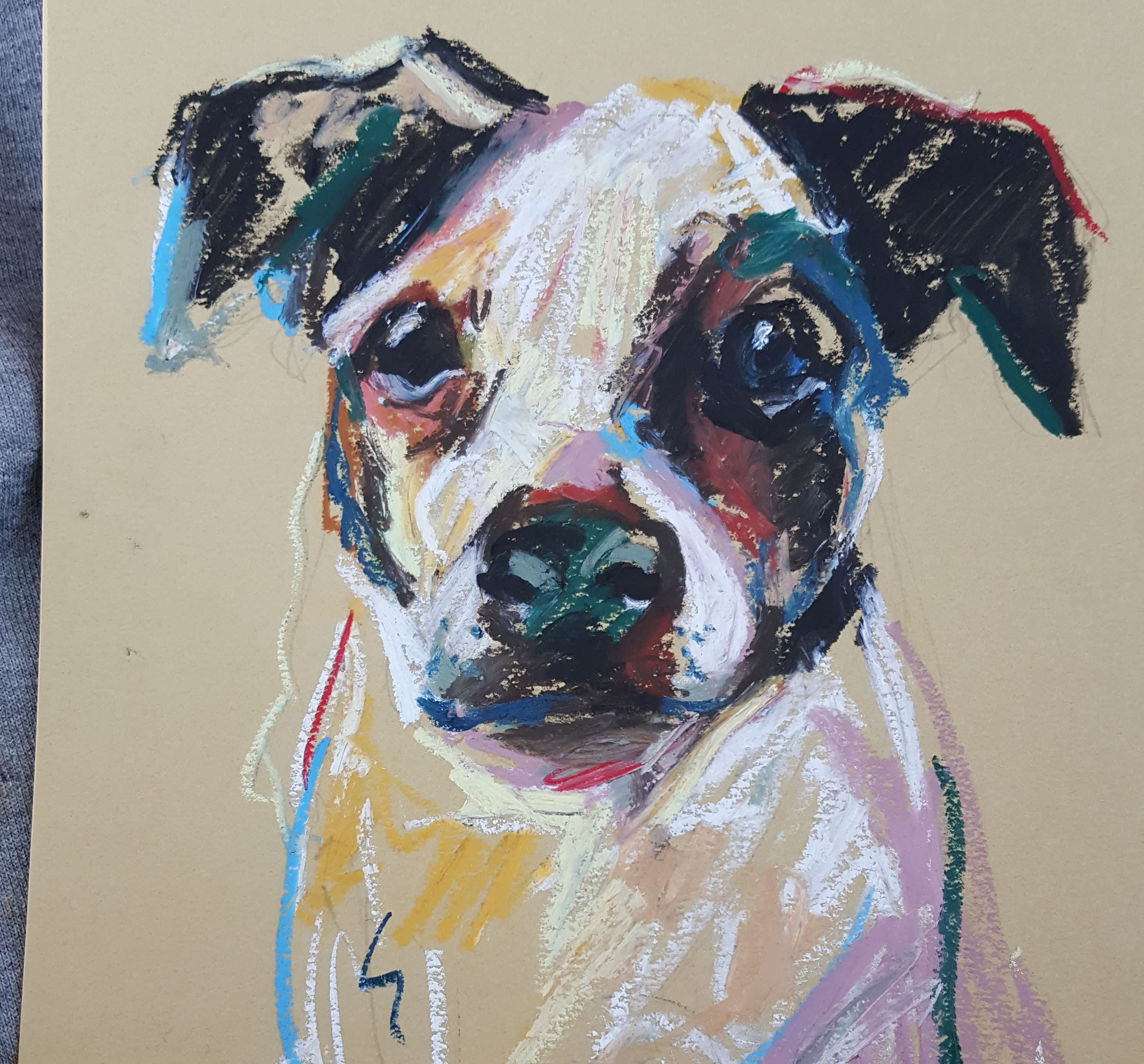 Draw your pet with oil pastels by Kirafennell | Fiverr