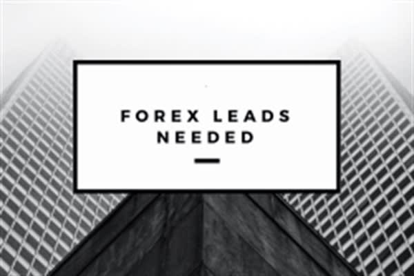 Generate Usa Forex Bitcoin Ico Crypto Investor Email Leads - 