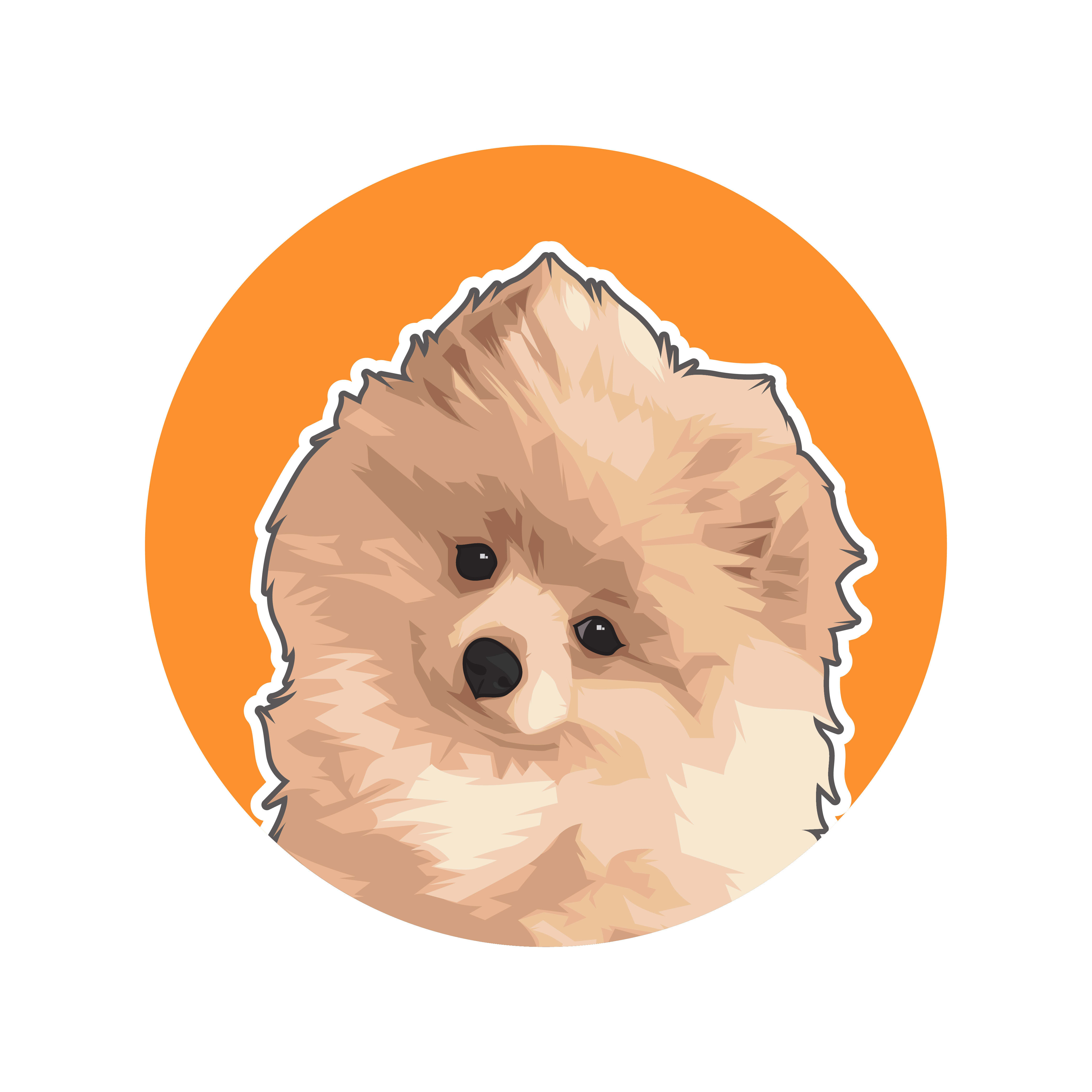 Hình ảnh Grey White Pet Dog Avatar PNG  Chó Hình đại Diện đáng Yêu PNG  miễn phí tải tập tin PSDComment và Vector