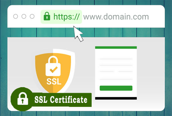Ssl Library Install SSL Certificate In Your Koha Library Management, 09/29/2022