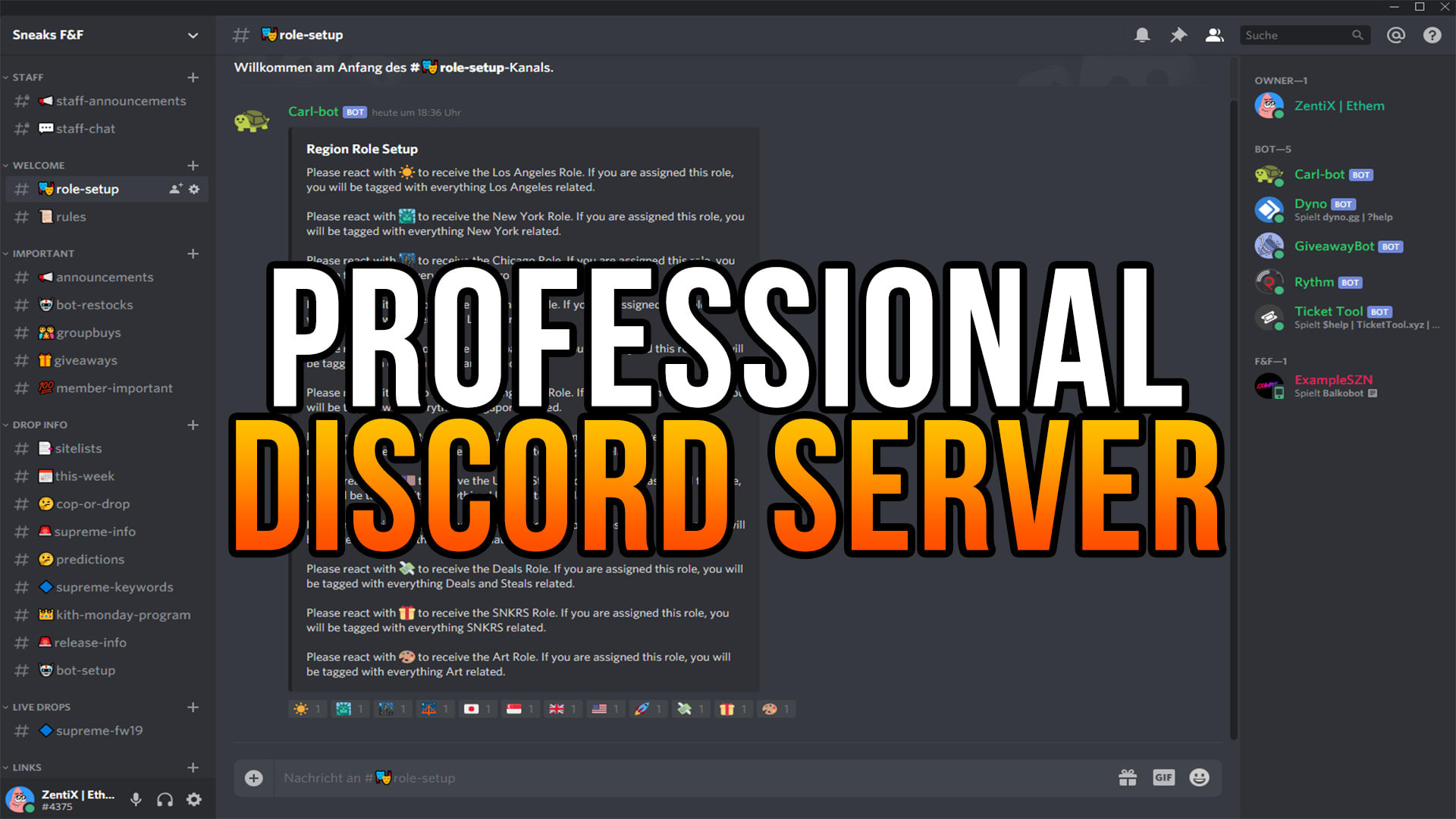 setup your new elegant discord server within 24 hours
