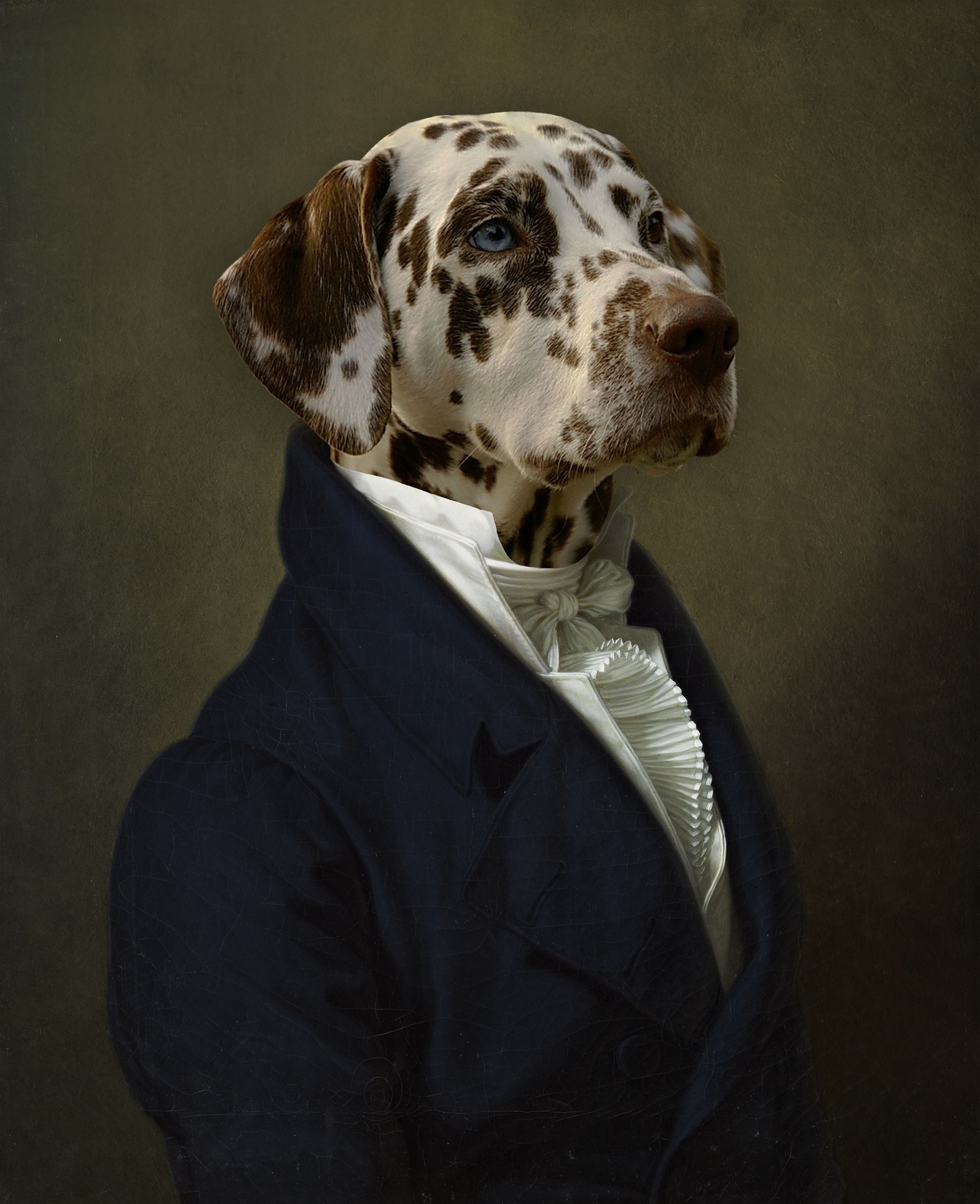 Royal Pet Portrait Templates By Tara Mapes Pet Portrait
