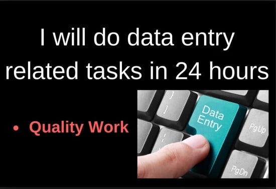 Do Data Entry Jobs In 24 Hours By Denniswachir170 | Fiverr