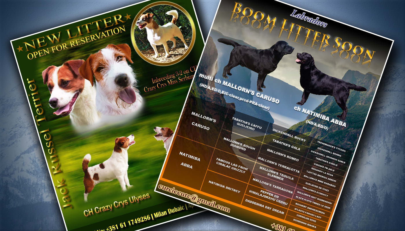 Design beautiful puppies for sale flyers by Jovanart23  Fiverr Within Puppy For Sale Flyer Templates