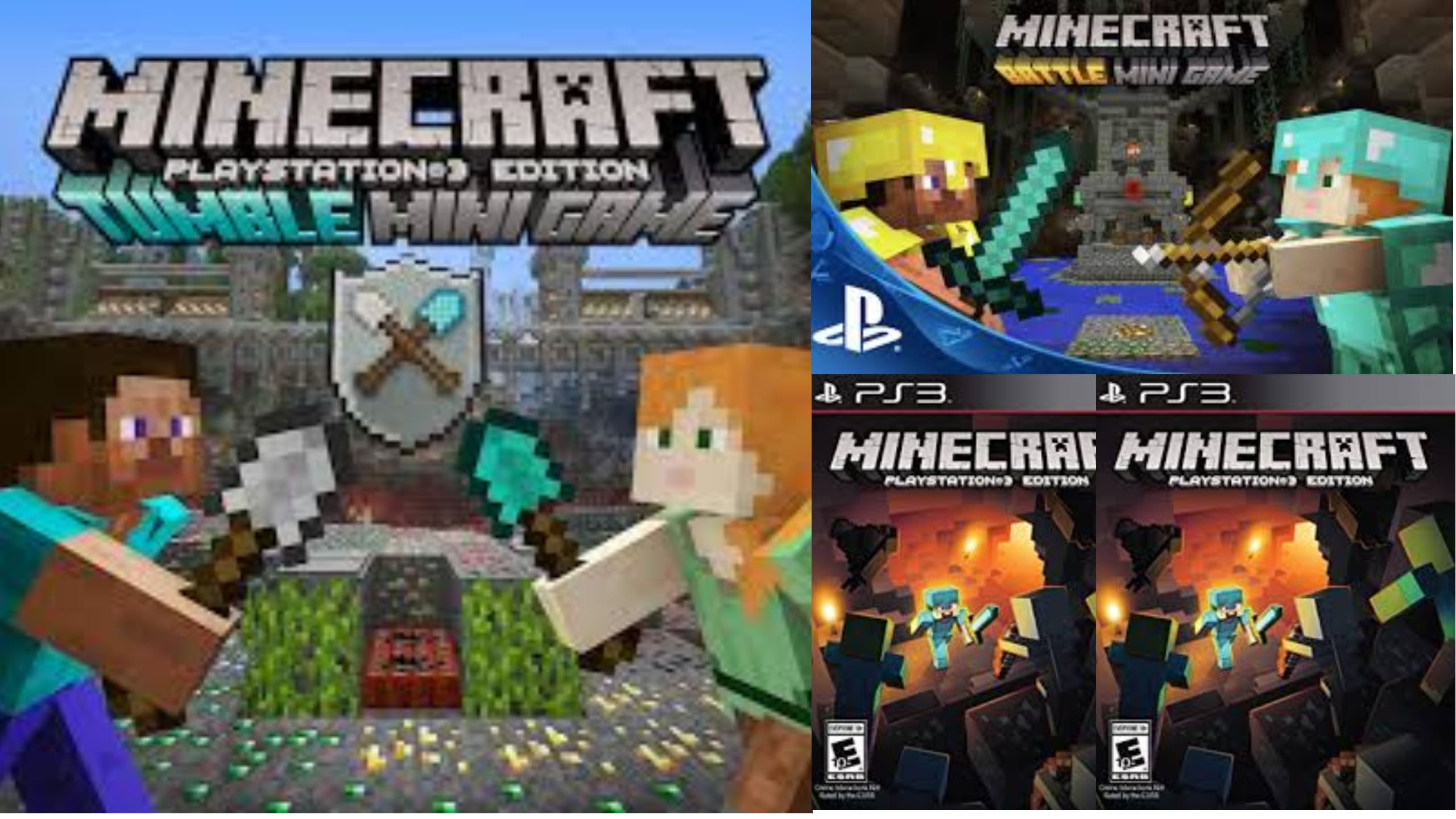 Play Minecraft With You On Ps3 By Sivaswiss Fiverr
