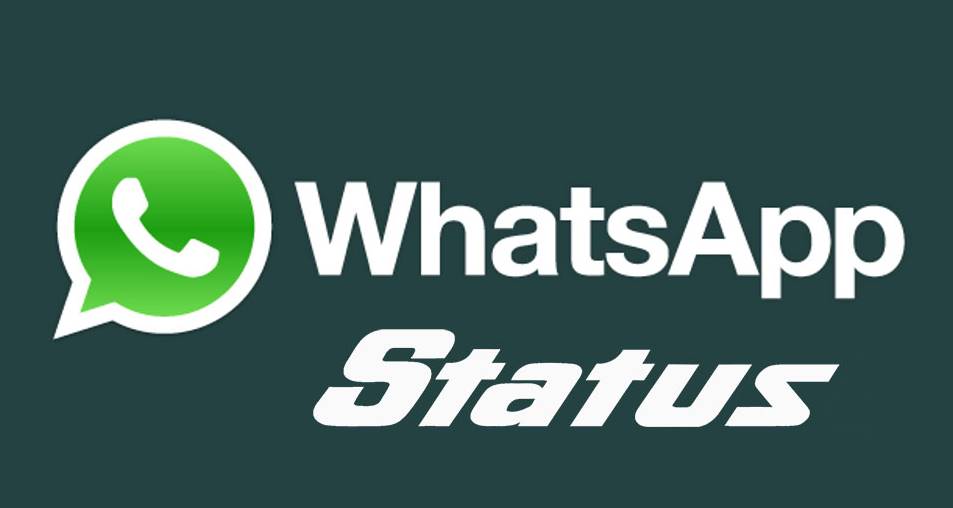 Whatsapp Status Video Maker By Mayankdevani Fiverr