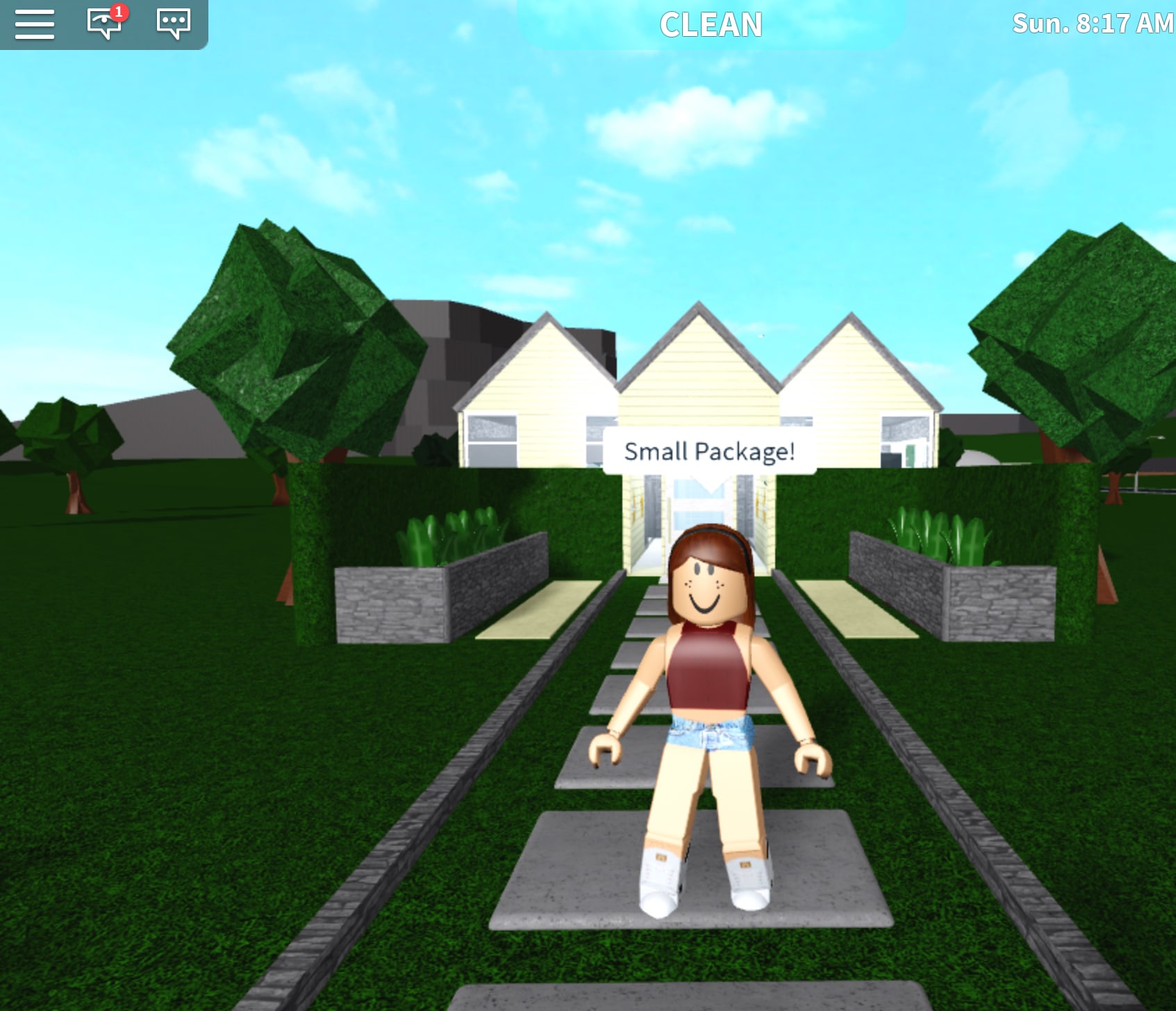 Build Your Dream House In Bloxburg By Mzdog10