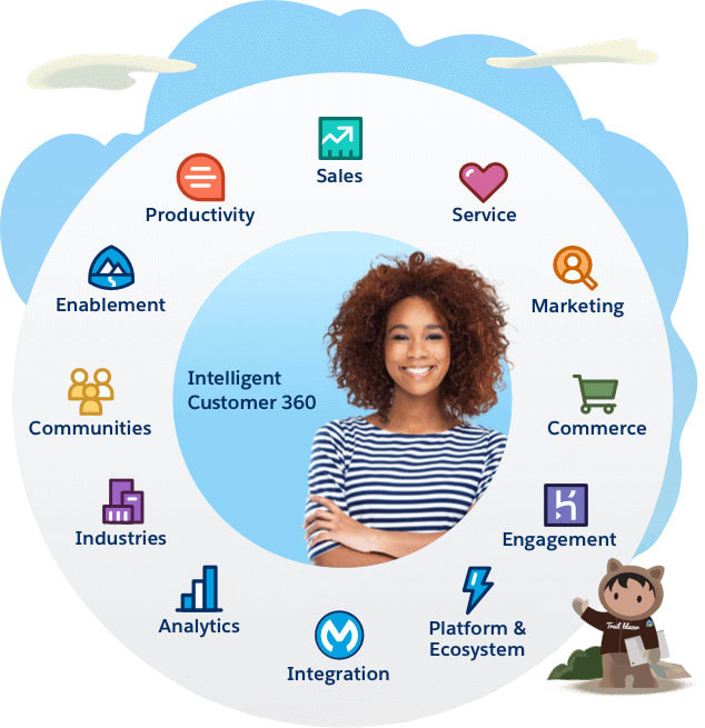 Salesforce Developer