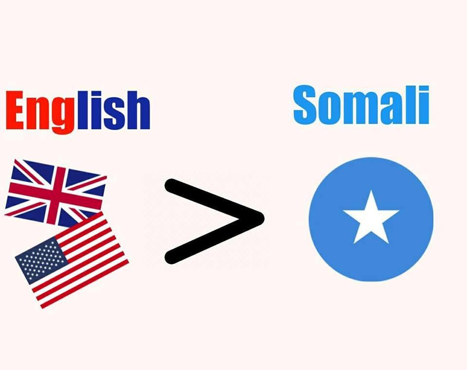 Daily Words English To Somali For Android Apk Download