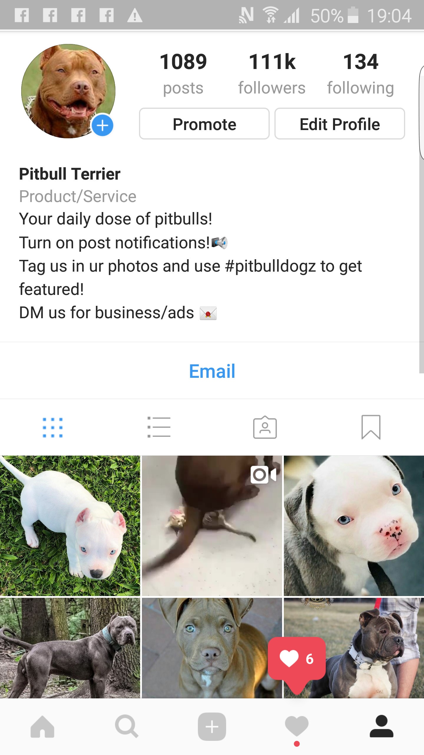 shoutout on 135k pitbull instagram