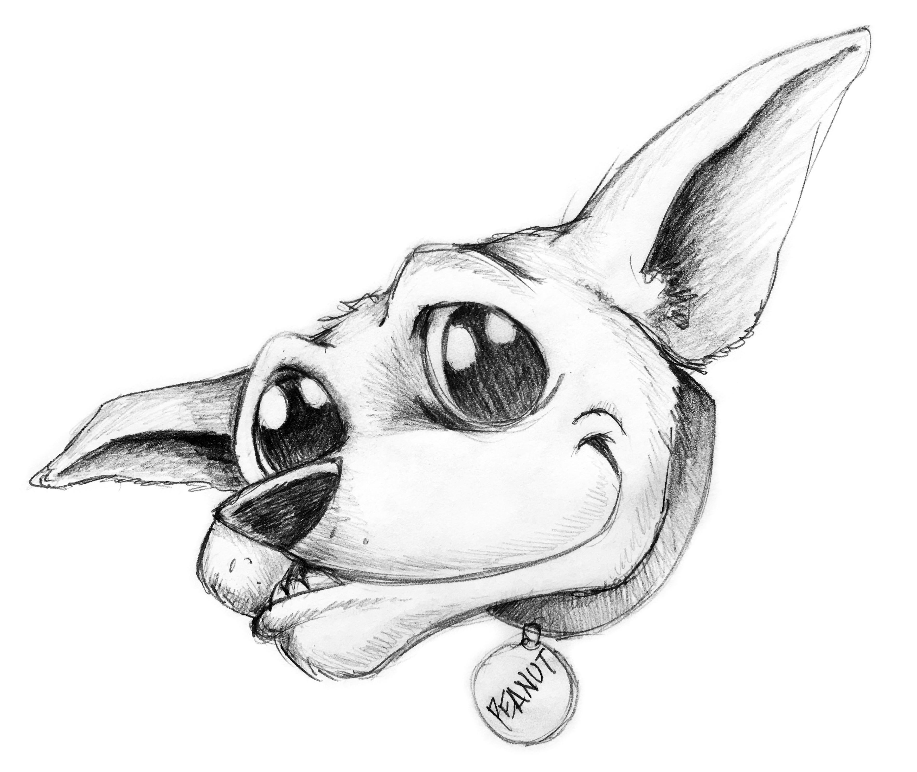 Draw a shaded cartoon head of any animal in pencil by Kevindkeene | Fiverr