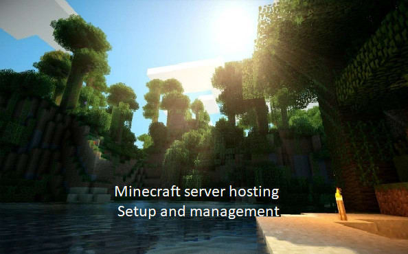 Help You Setup Minecraft Servers And Other Games By Quantum1012 Fiverr