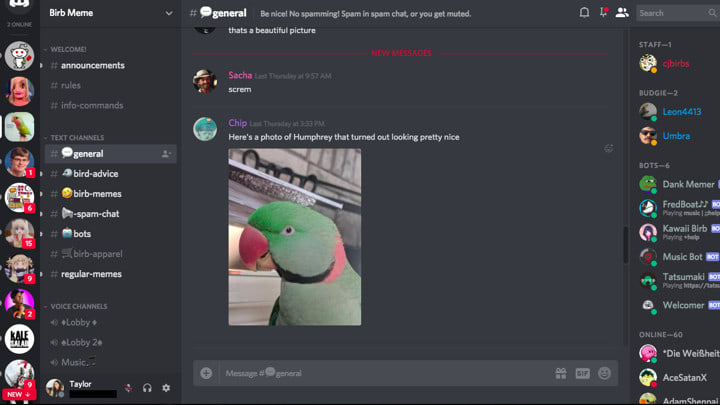 Order Premium Discord Servers Here By Strumpano Fiverr Order Premium Discord Servers Here By Strumpano Fiverr