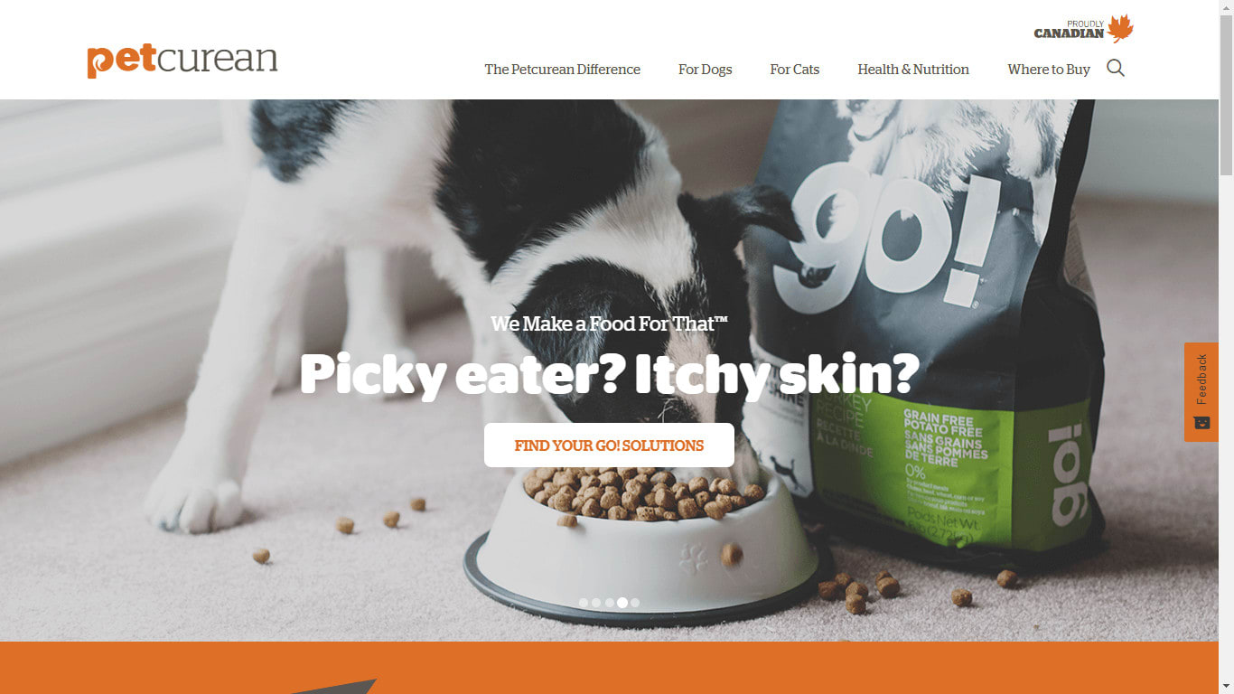 dog food websites