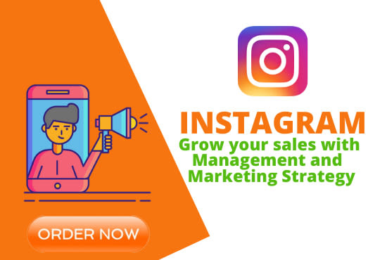 Be Your Professional Instagram Marketing Manager By I Seoexpert