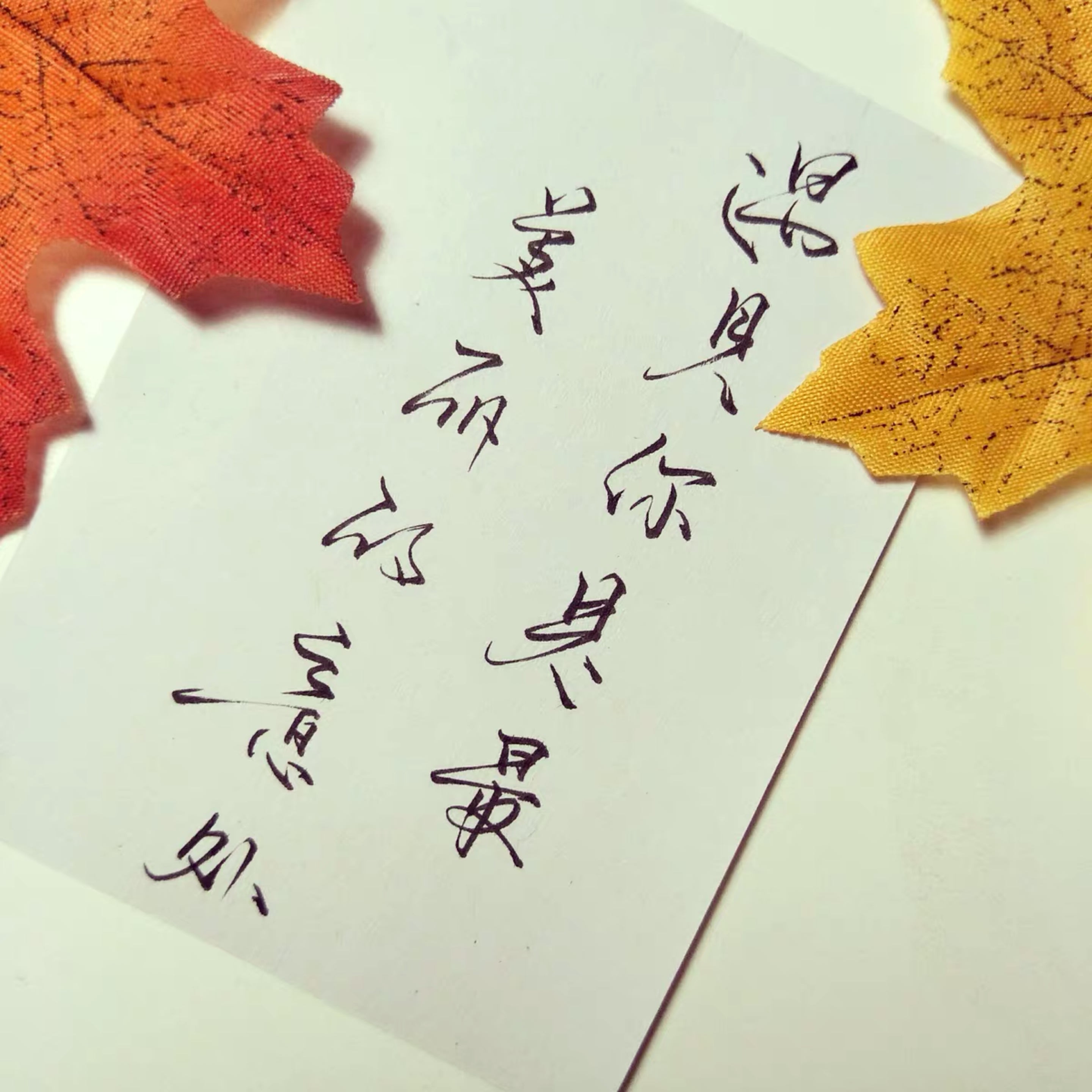 Write Whatever You Want In Fancy Chinese Handwriting By Brianoo Fiverr